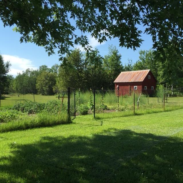 43475 310th Ave NE, Gatzke, MN 56724 - view of yard featuring a rural view, an outbuilding, and fence