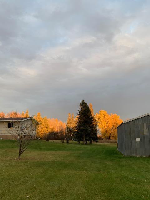 43475 310th Ave NE, Gatzke, MN 56724 - view of yard with an outdoor structure