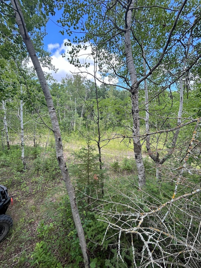 43475 310th Ave NE, Gatzke, MN 56724 - view of nature with a view of trees