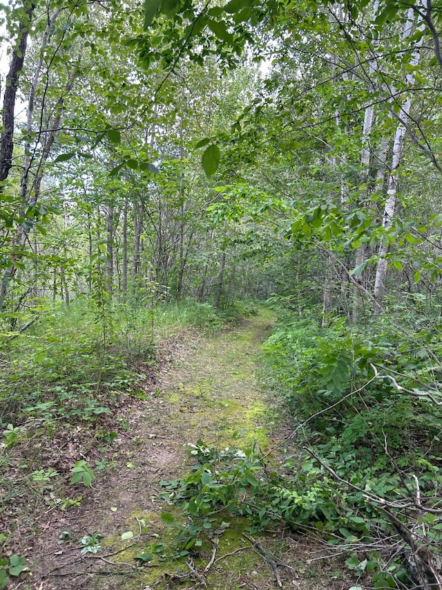 43475 310th Ave NE, Gatzke, MN 56724 - view of landscape featuring a view of trees