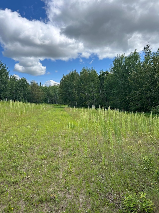 43475 310th Ave NE, Gatzke, MN 56724 - view of local wilderness featuring a view of trees