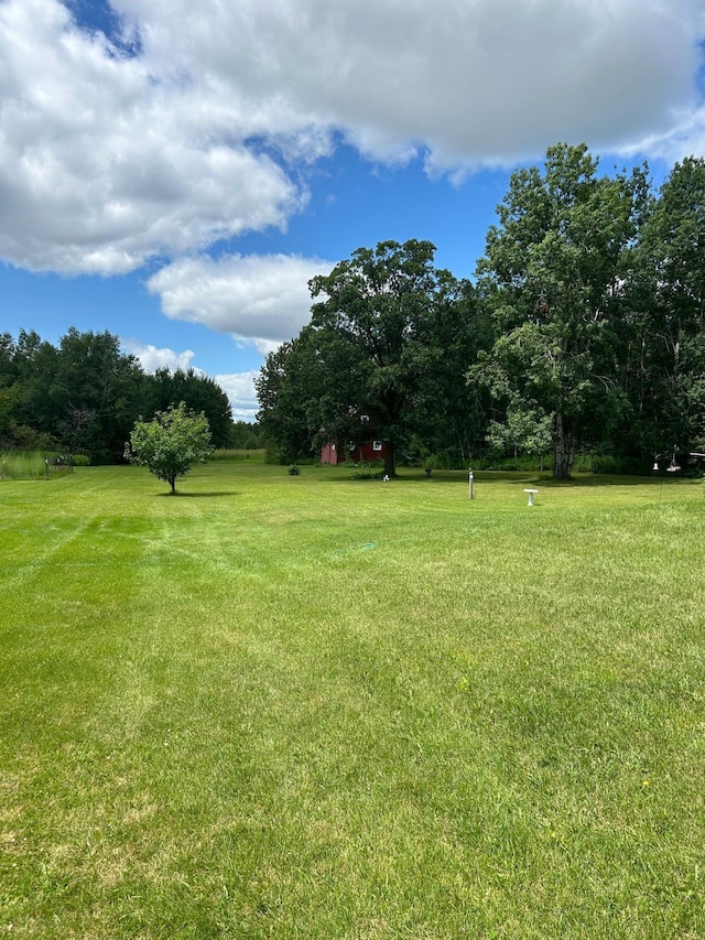 43475 310th Ave NE, Gatzke, MN 56724 - view of yard