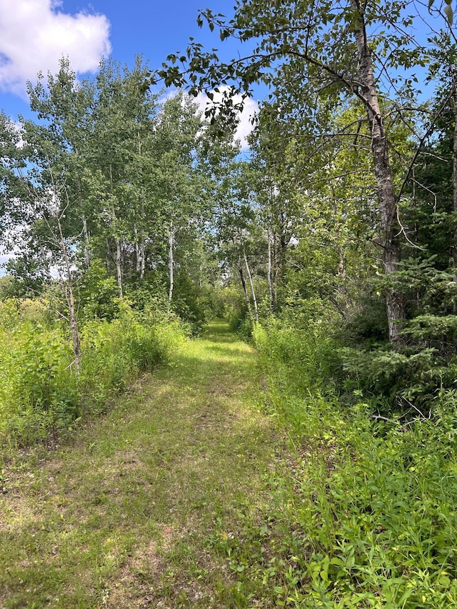43475 310th Ave NE, Gatzke, MN 56724 - view of landscape