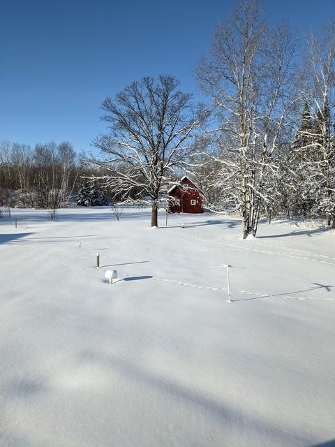 43475 310th Ave NE, Gatzke, MN 56724 - view of snowy yard