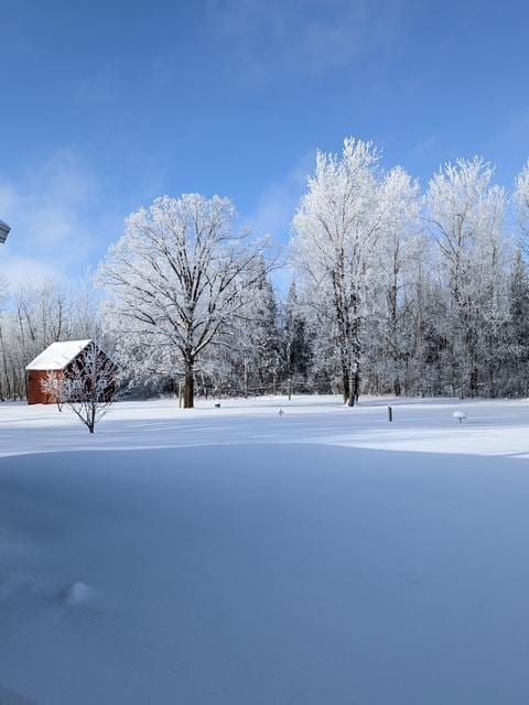 43475 310th Ave NE, Gatzke, MN 56724 - view of yard layered in snow