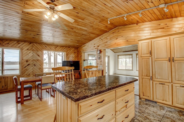 kitchen featuring wooden walls, light brown cabinetry, ceiling fan, and rail lighting