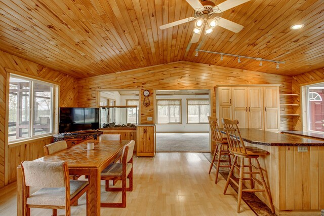 dining room with wood walls, wood ceiling, rail lighting, and a wealth of natural light