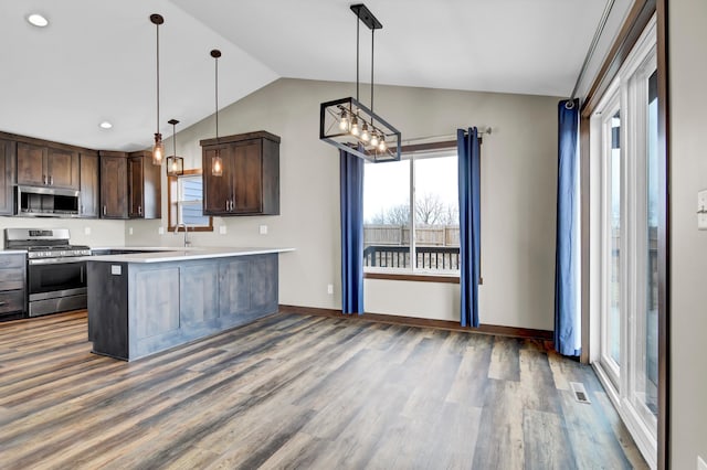 kitchen with plenty of natural light, dark brown cabinets, appliances with stainless steel finishes, and lofted ceiling