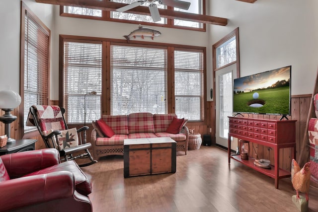29561 Mentzer Ct, Lindstrom, MN 55045 - living room featuring plenty of natural light, wood finished floors, and a ceiling fan