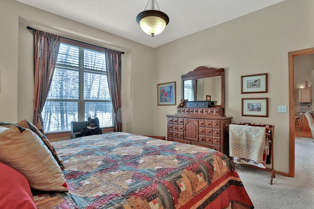29561 Mentzer Ct, Lindstrom, MN 55045 - bedroom featuring multiple windows and carpet floors
