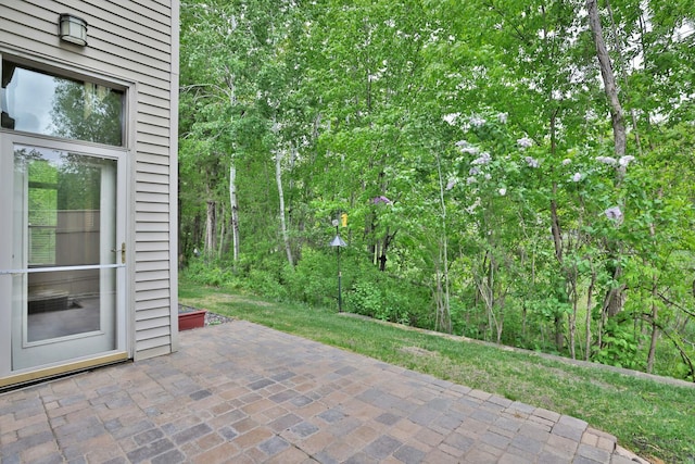 29561 Mentzer Ct, Lindstrom, MN 55045 - view of patio / terrace