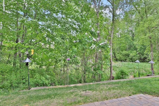 29561 Mentzer Ct, Lindstrom, MN 55045 - view of yard with a forest view