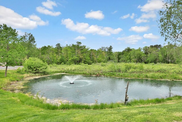 29561 Mentzer Ct, Lindstrom, MN 55045 - water view