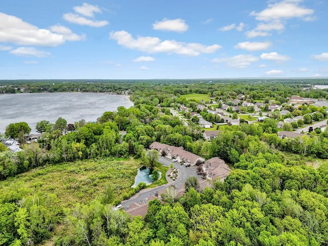 29561 Mentzer Ct, Lindstrom, MN 55045 - aerial view of a nearby body of water and a heavily wooded area