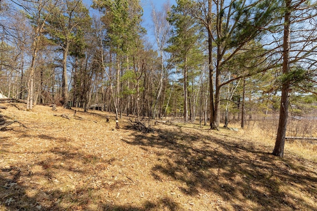 37122 Staley Ln, Crosslake, MN 56442 - photo 7