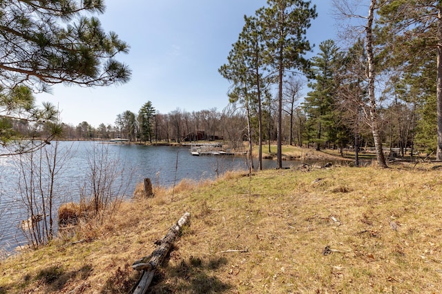 37122 Staley Ln, Crosslake, MN 56442 - photo 8