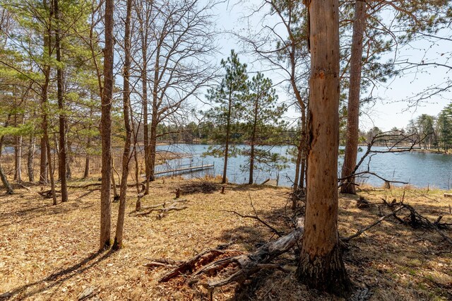 37122 Staley Ln, Crosslake, MN 56442 - photo 9