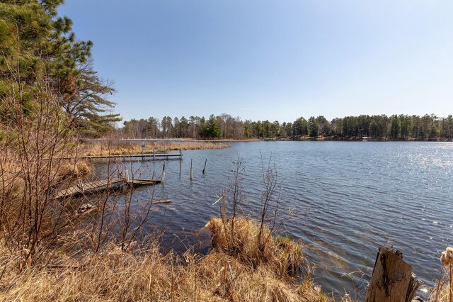 37122 Staley Ln, Crosslake, MN 56442 - photo 10