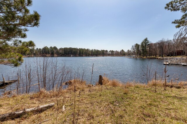 37122 Staley Ln, Crosslake, MN 56442 - photo 11