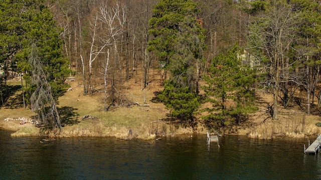 37122 Staley Ln, Crosslake, MN 56442 - photo 12