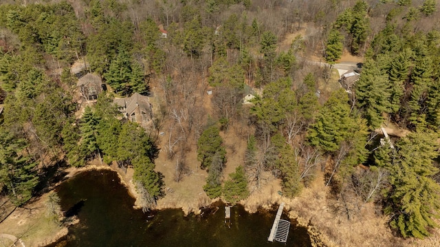 37122 Staley Ln, Crosslake, MN 56442 - photo 13