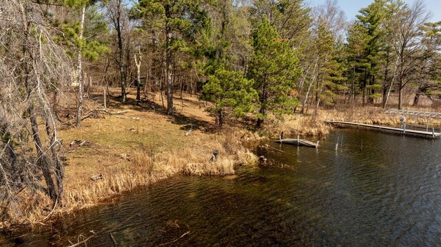 37122 Staley Ln, Crosslake, MN 56442 - photo 19