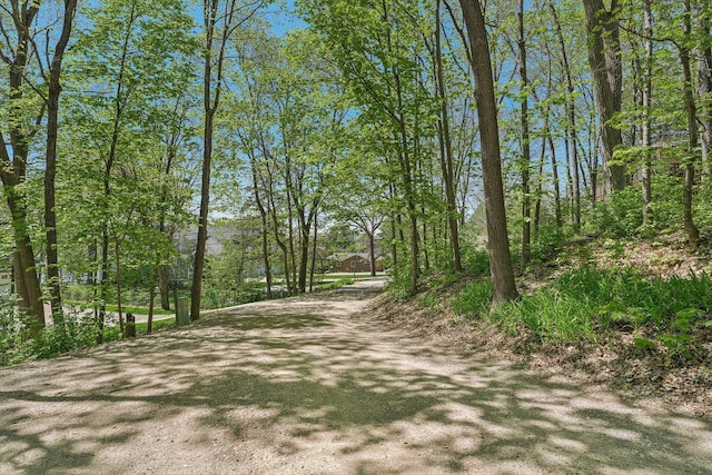 16139 Northwood Rd NW, Prior Lake, MN 55372 - view of dirt / gravel road
