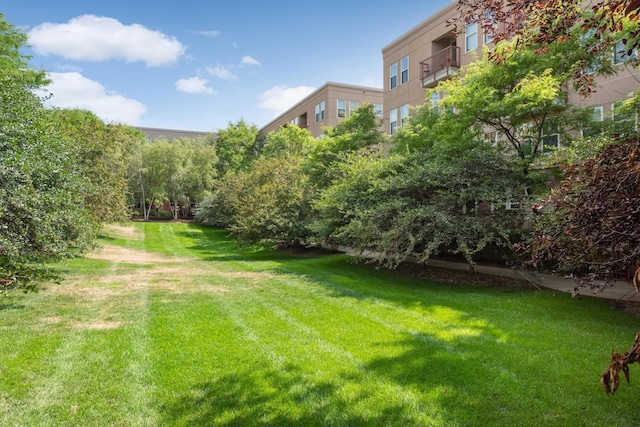 500 2nd St Unit 102, Minneapolis, MN 55401 - view of yard
