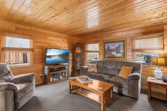 carpeted living area featuring wooden ceiling, wooden walls, and plenty of natural light
