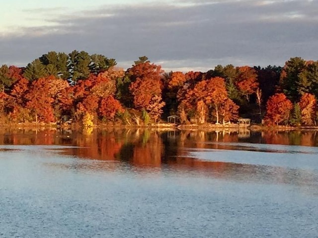 water view featuring a wooded view