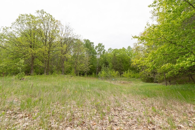 TBD Knopf Rd, Holmesville Twp, MN 56578