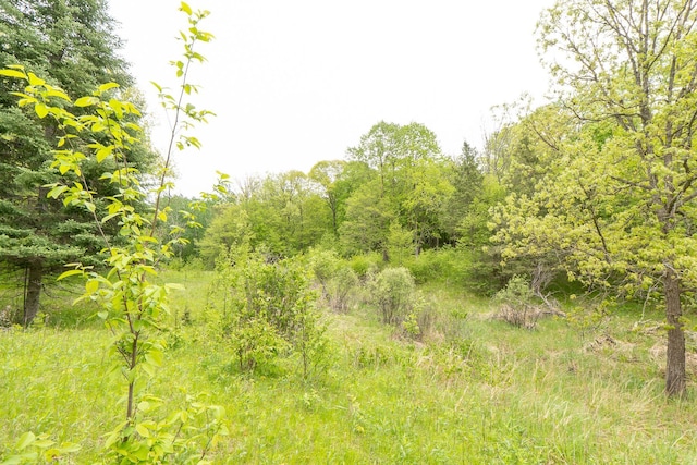 TBD Knopf Rd, Holmesville Twp, MN 56578