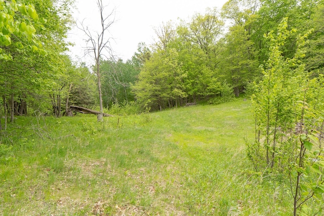 TBD Knopf Rd, Holmesville Twp, MN 56578