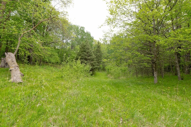 TBD Knopf Rd, Holmesville Twp, MN 56578