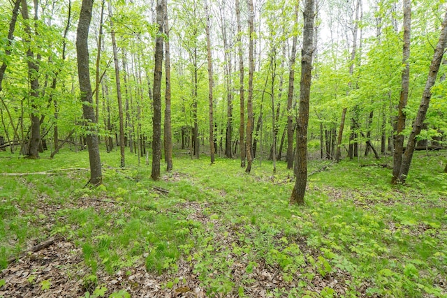 TBD Knopf Rd, Holmesville Twp, MN 56578