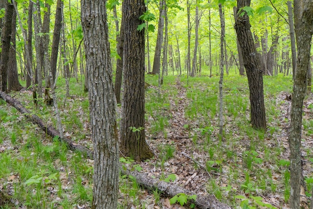 TBD Knopf Rd, Holmesville Twp, MN 56578