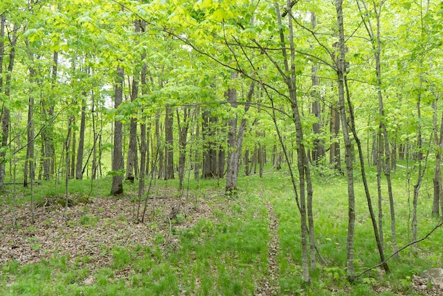 TBD Knopf Rd, Holmesville Twp, MN 56578