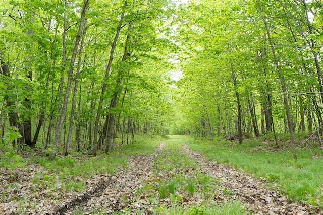 TBD Knopf Rd, Holmesville Twp, MN 56578