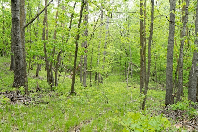TBD Knopf Rd, Holmesville Twp, MN 56578