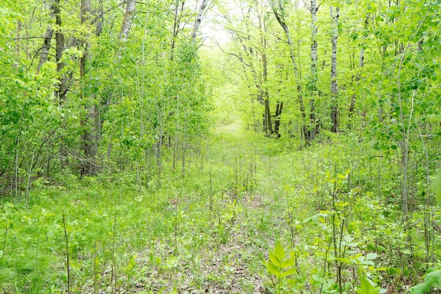 TBD Knopf Rd, Holmesville Twp, MN 56578