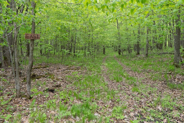 TBD Knopf Rd, Holmesville Twp, MN 56578