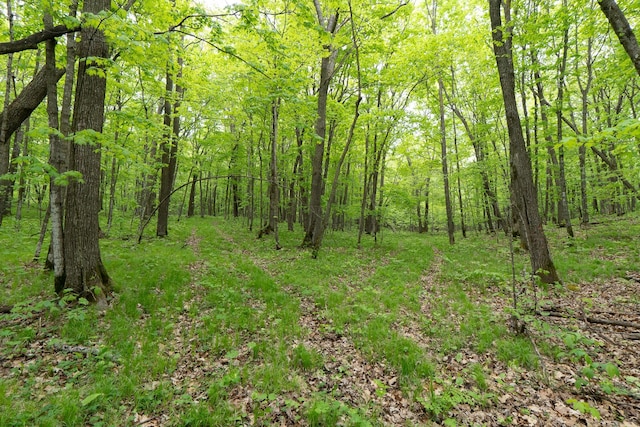 TBD Knopf Rd, Holmesville Twp, MN 56578
