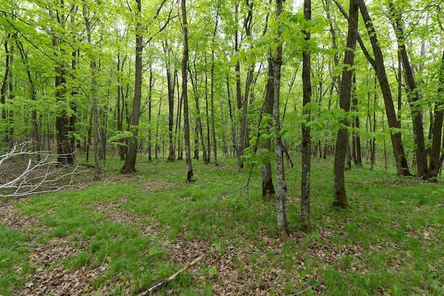 TBD Knopf Rd, Holmesville Twp, MN 56578