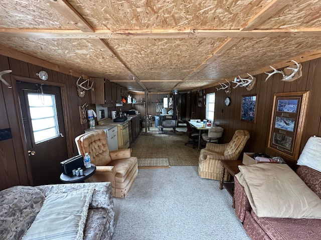 TBD Knopf Rd, Holmesville Twp, MN 56578