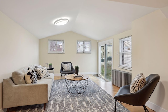 2733 Columbus Ave, Minneapolis, MN 55407 - living room with baseboards, vaulted ceiling, wood finished floors, and radiator heating unit