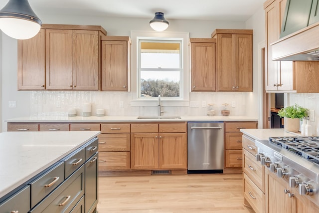 kitchen with light wood-style flooring, tasteful backsplash, appliances with stainless steel finishes, a sink, and premium range hood