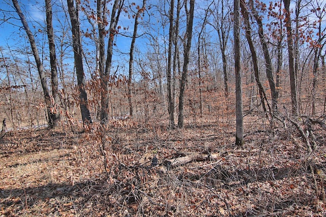 TBD 4th Ave, Breezy Point, MN 56472