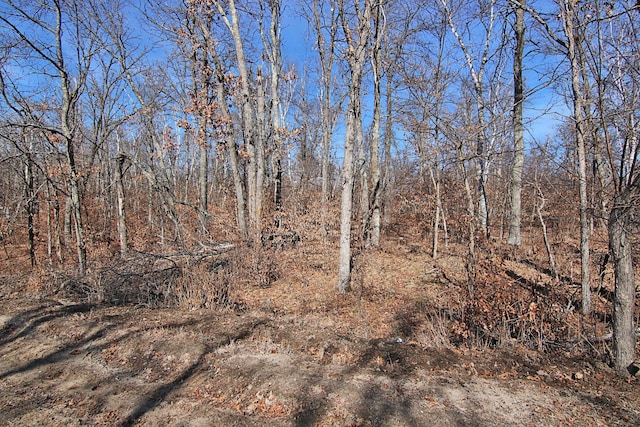 TBD 4th Ave, Breezy Point, MN 56472
