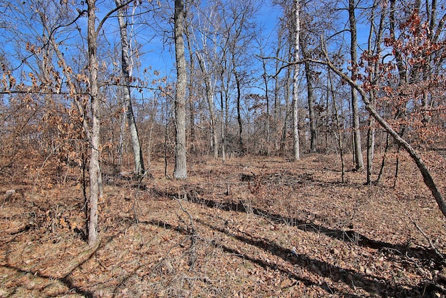 TBD 4th Ave, Breezy Point, MN 56472