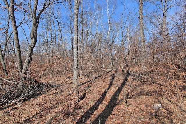 TBD 4th Ave, Breezy Point, MN 56472